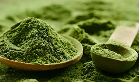 How to Incorporate Wheatgrass Powder into Food, Drink, and Supplement Formulations?